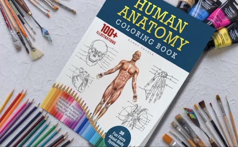 Human Anatomy Coloring Book
